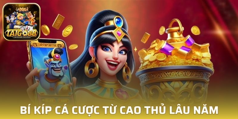 Bí kíp cá cược từ cao thủ lâu năm