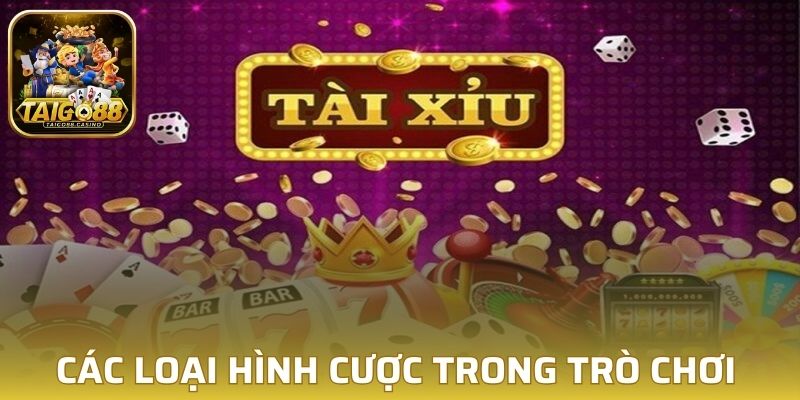 Các loại hình cược trong trò chơi tài xỉu Go88